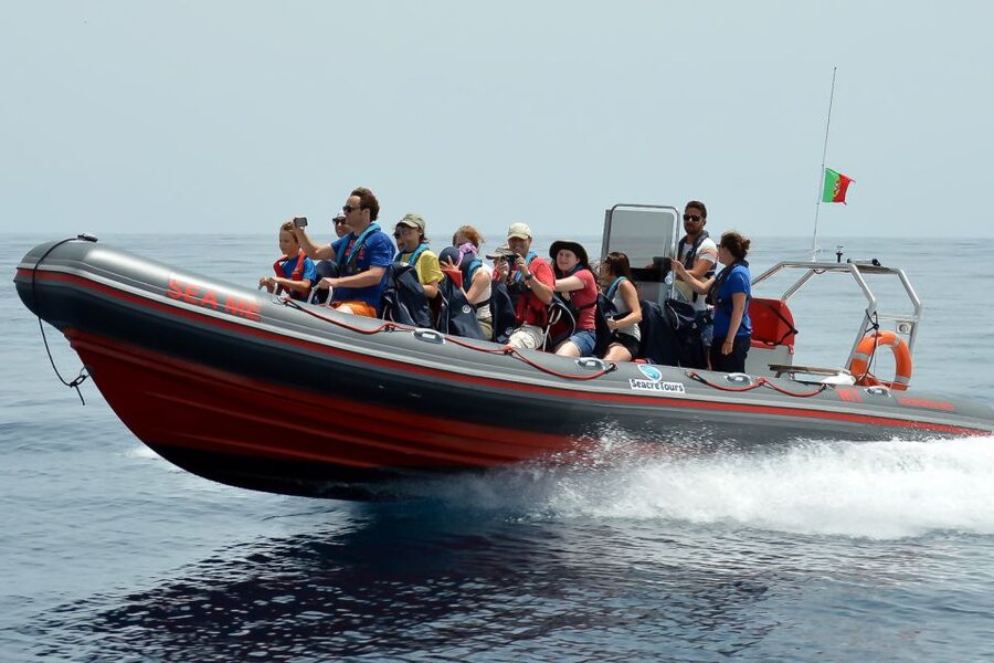 Albufeira: Dolphin Watching and Benagil Cave Boat Cruise - Albufeira Dolphin Watching + Benagil Cave Cruise: The Real Vibe