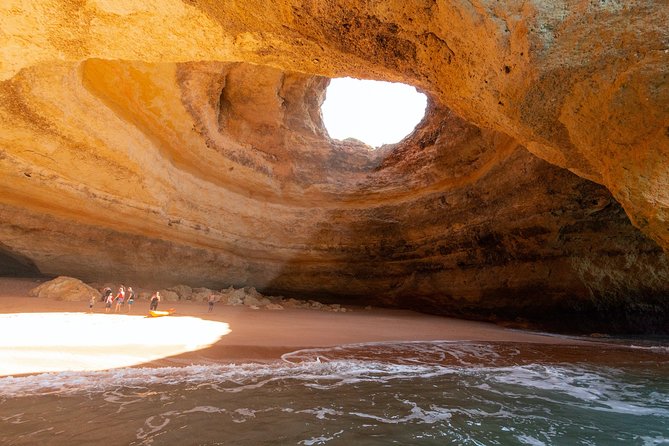 Albufeira: Dolphins and Caves Private Tour - The private boat setup: small group, big control