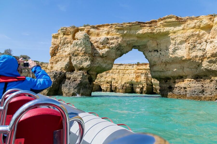 Albufeira: Dolphins, Benagil Caves and Coastline Boat Tour - Dolphin Spotting: Common vs. Bottlenose in Real Open Water