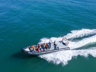 Albufeira: Dolphins, Benagil Caves and Coastline Boat Tour - Why a RIB Boat Makes Benagil Caves Feel Closer