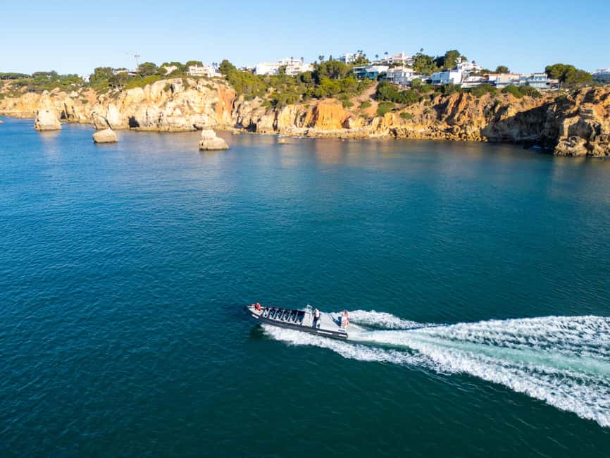 Albufeira: Dolphins & Benagil Caves RIB Tour - Dolphin watching with a marine biologist: how the crew helps you actually spot them