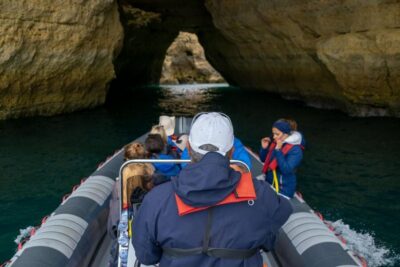 Albufeira: Dolphins & Benagil Caves RIB Tour - Safety briefing and coastal cruising: the reason the timing works