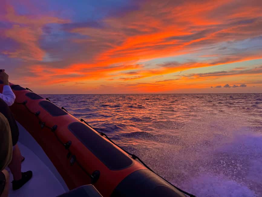 Alcudia: Dolphin Watching at Sunrise with Speedboat - Captain Miguel and the Photos/Video Touch