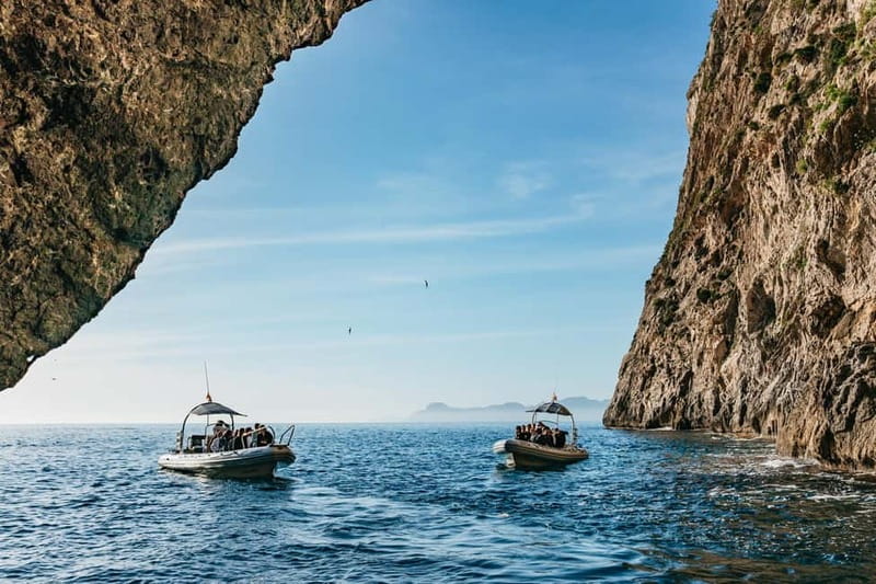 Alcudia or Can Picafort: Dolphin-Watching Cruise - Key highlights worth waking up for