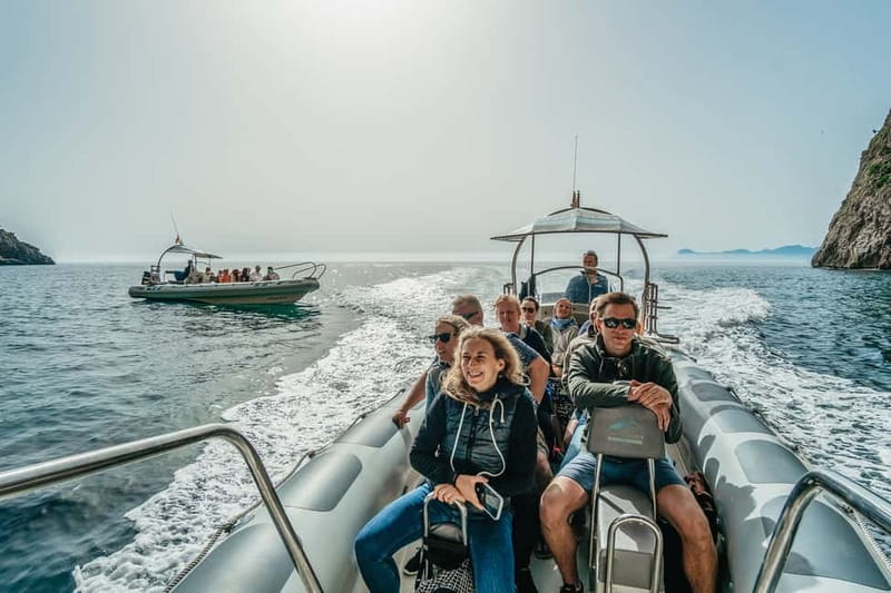 Alcudia or Can Picafort: Dolphin-Watching Cruise - Who this cruise is best for (and who should think twice)