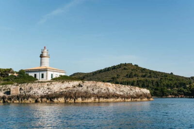 Alcudia or Can Picafort: Dolphin-Watching Cruise - Dolphin-watching in the real world: how close you can get