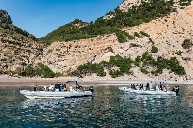 Alcudia or Can Picafort: Dolphin-Watching Cruise - Es Coll Baix swim cove: the payoff stop