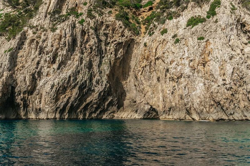 Alcudia or Can Picafort: Dolphin-Watching Cruise - Sunrise versus afternoon cruises: choose your vibe