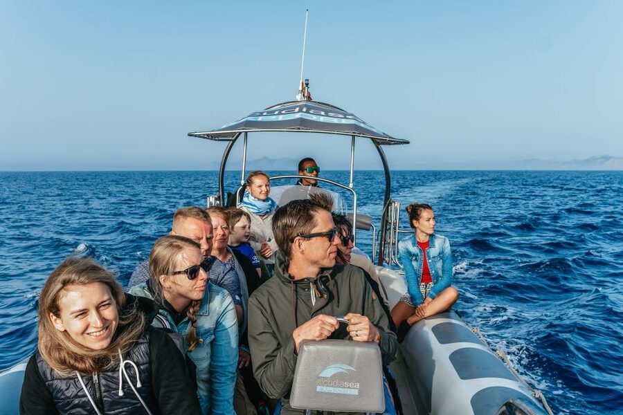 Alcudia or Can Picafort: Dolphin-Watching Cruise - Getting there: the quick-hit logistics that matter most