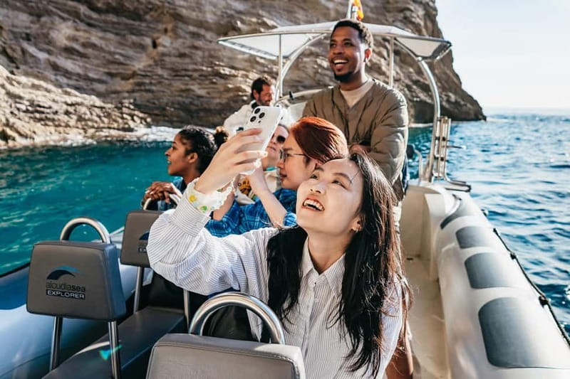 Alcudia or Can Picafort: Dolphin-Watching Cruise - Comfort and seasickness: be honest with yourself