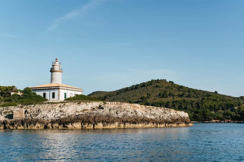Alcudia or Can Picafort: Dolphin-Watching Cruise - Dolphin-watching in the real world: how close you can get