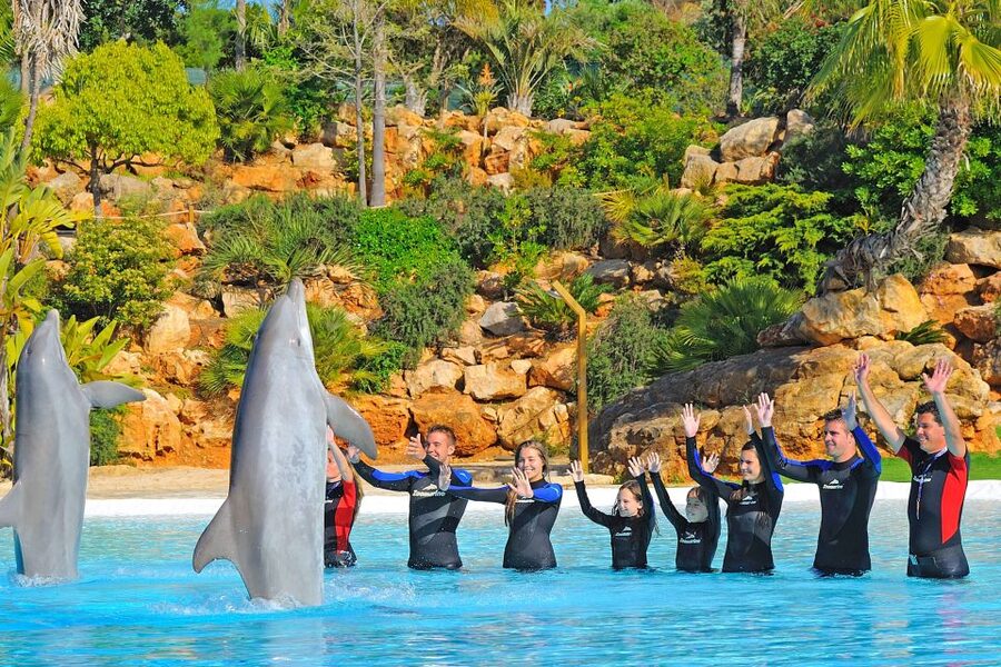 Algarve Zoomarine Ticket and Dolphin Emotions Experience - Safety and who should skip this experience