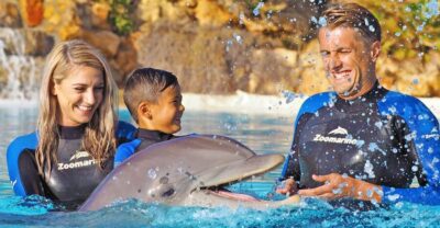 Algarve Zoomarine Ticket and Dolphin Emotions Experience - Choosing Encounter vs Exclusive: what you’re actually paying for