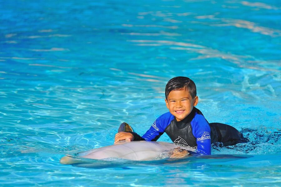 Algarve Zoomarine Ticket and Dolphin Emotions Experience - Photos, video, and the extras that make it feel worth it