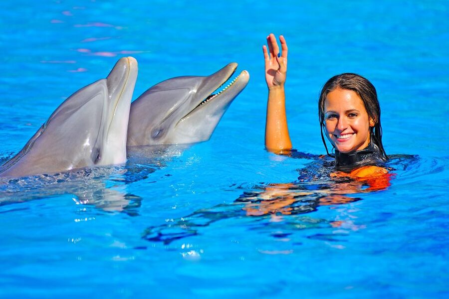 Algarve Zoomarine Ticket and Dolphin Emotions Experience - Timing, group size, and what to do with the in-between time