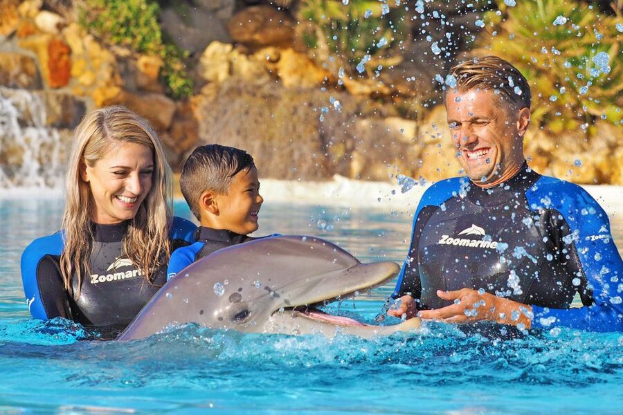 Algarve Zoomarine Ticket and Dolphin Emotions Experience - Price and value: is $142 per person reasonable?