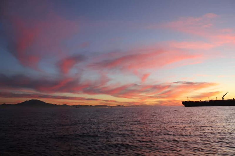Algeciras: Dolphin and whale watching in reduced groups - Fin whales in season: the seasonal extra you shouldn’t count on