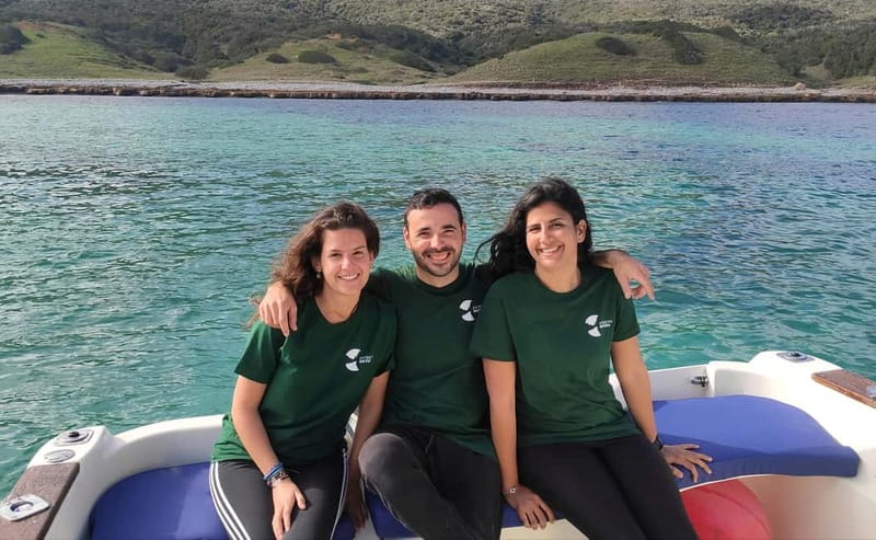 Algeciras: Dolphin and whale watching in reduced groups - The small-group difference: reduced numbers, better spotting, easier questions