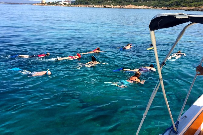 Alghero - Dolphin Watching and Guided Snorkeling (summer tour) - Price and value: what you’re actually paying for