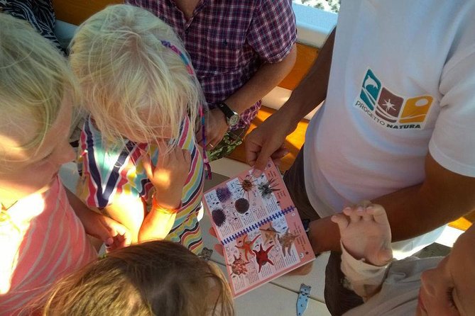 Alghero - Dolphin Watching and Guided Snorkeling (summer tour) - Group size, comfort, and the small details that affect your day