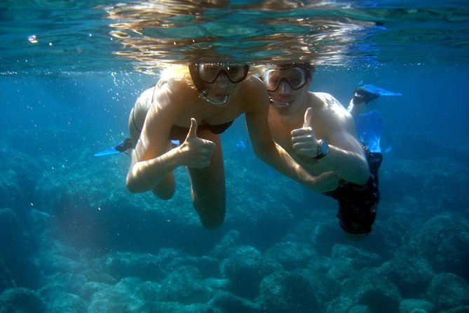 Alghero - Dolphin Watching and Guided Snorkeling (summer tour) - Low-impact boating that matters in real life