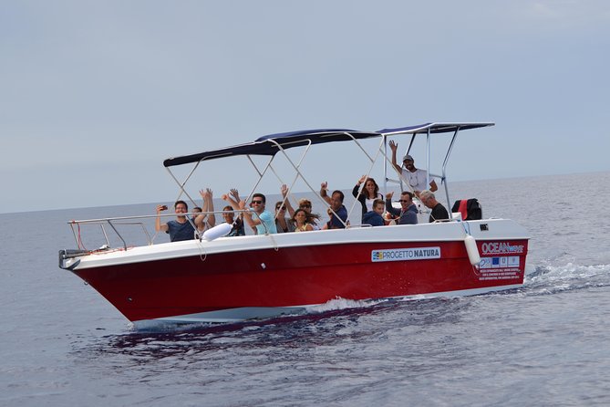 Alghero - Dolphin Watching (Spring & Autumn Tour) - Alghero’s Capo Caccia–Isola Piana waters: why this trip makes sense