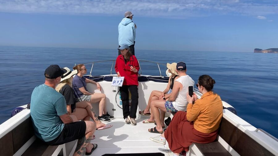 Alghero: Dolphin Watching Tour with Marine Researcher - Snorkeling at Capo Caccia and Isola Piana (June–September)