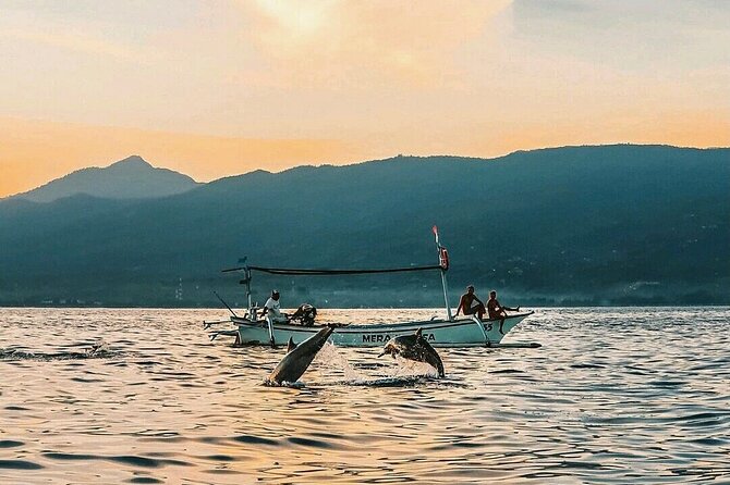 All inclusive Lovina Dolphins Sunrise tour, Waterfall & Temple - Price and Value: Is $89 Fair for What You Get?