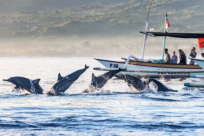 All inclusive Lovina Dolphins Sunrise tour, Waterfall & Temple - Tips to Get the Most Out of the Day