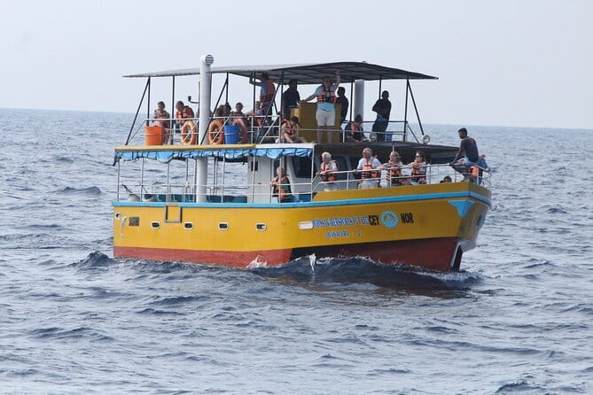 All Inclusive Mirissa Whale and Dolphin Watching Boat Ride - Key highlights at a glance