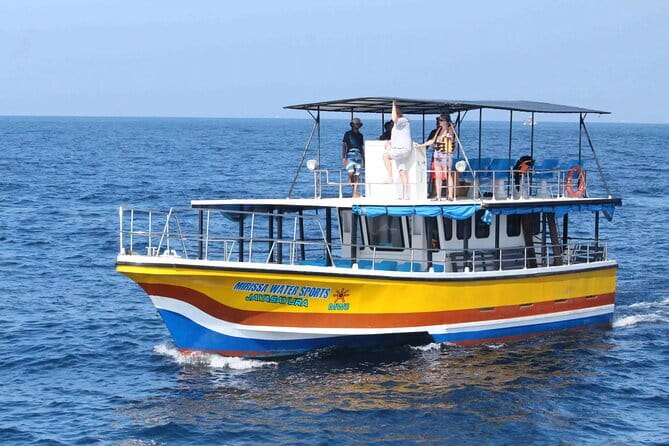 All Inclusive Mirissa Whale and Dolphin Watching Boat Ride - What the boat ride experience is really like