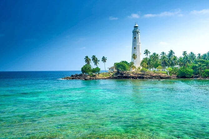 All Inclusive Mirissa Whale and Dolphin Watching Boat Ride - Dolphin watching: high-energy sightings at sea level
