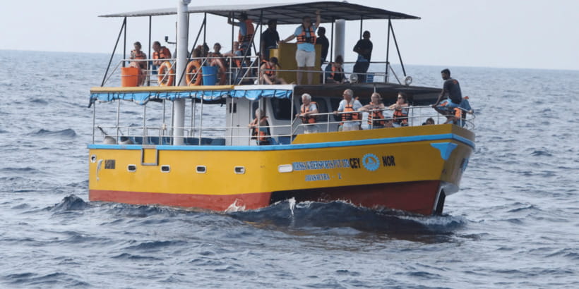 All Inclusive Mirissa Whale & Dolphin Watching + Snorkeling - From Mirissa to Kotapola: The Day Starts Early