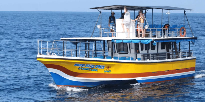 All Inclusive Mirissa Whale & Dolphin Watching + Snorkeling - Animal-Welfare Rules You’ll Want to Follow