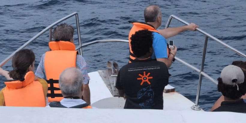All Inclusive Mirissa Whale & Dolphin Watching + Snorkeling - Lunch Break: Resetting for Snorkeling