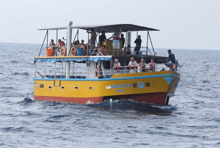 All Inclusive Mirissa Whale & Dolphin Watching + Snorkeling - What All-Inclusive Really Covers (And What It Doesn’t)