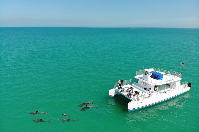 All-Inclusive Sandbar Safari with Dolphin Playground Encounter - Food and drinks: the all-inclusive lunch you can graze on all day