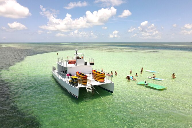 All-Inclusive Sandbar Safari with Dolphin Playground Encounter - Guides, captain-led fun, and the real dolphin expectation