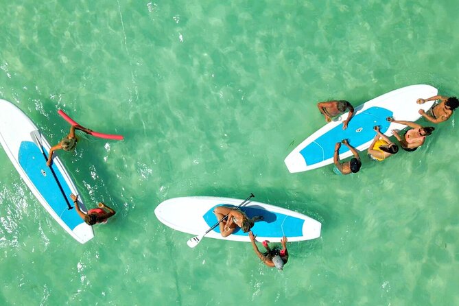 All-Inclusive Sandbar Safari with Dolphin Playground Encounter - Florida Keys National Marine Sanctuary: dolphins plus a secluded sandbar