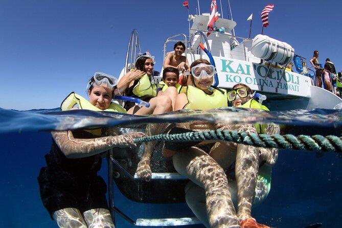 All-Inclusive Sunset Dolphin Watch and Snorkeling Cruise - Key highlights at a glance