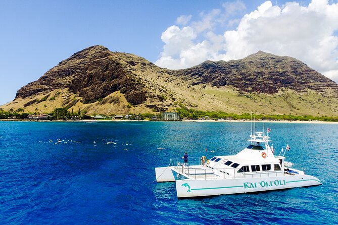 All-Inclusive Sunset Dolphin Watch and Snorkeling Cruise - Marine life odds: dolphins plus the chance of turtles and whales