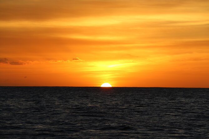 All-Inclusive Sunset Dolphin Watch and Snorkeling Cruise - Price and value: what $169 really covers