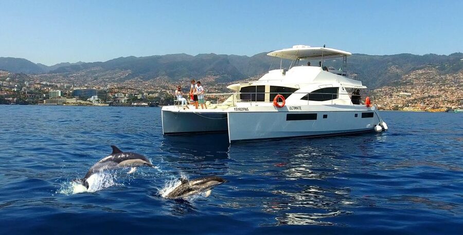 All Inclusive Whale and Dolphin Watching Luxury Tour - From Funchal marina to a true luxury catamaran experience