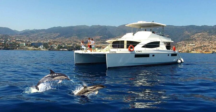 All Inclusive Whale and Dolphin Watching Luxury Tour - The “secret stop” feel: snacks, drinks, and extra time in the action