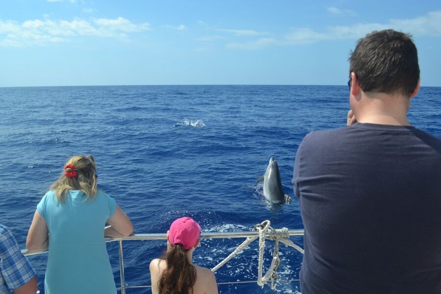 All Inclusive Whale and Dolphin Watching Luxury Tour - Cabo Girão: the stop that makes the whole tour feel like value