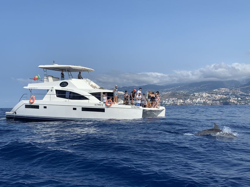 All Inclusive Whale and Dolphin Watching Luxury Tour - The small-group advantage: fewer people, more oxygen (and better viewing)