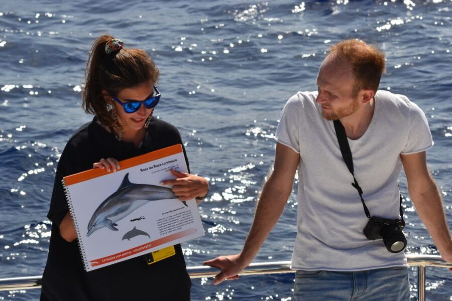 All Inclusive Whale and Dolphin Watching Luxury Tour - Sea conditions: the part you can’t control, but you can plan