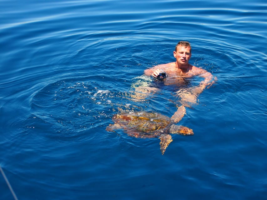 Always private 4 hour - Sail- dolphin Yacht Charter-paddle - Who This Fits Best (and Who Should Think Twice)