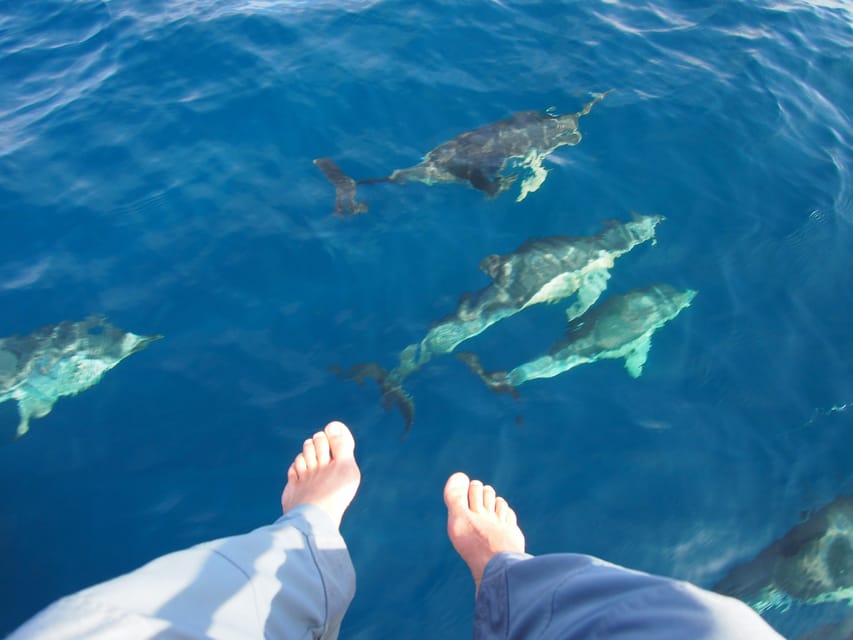 Always private 4 hour - Sail- dolphin Yacht Charter-paddle - Route Flexibility: Coast Hops Toward Marbella or Gibraltar Direction
