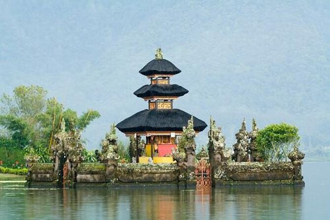 Amazing Bali Dolphin Watching Trip Experience - Key things I’d plan around